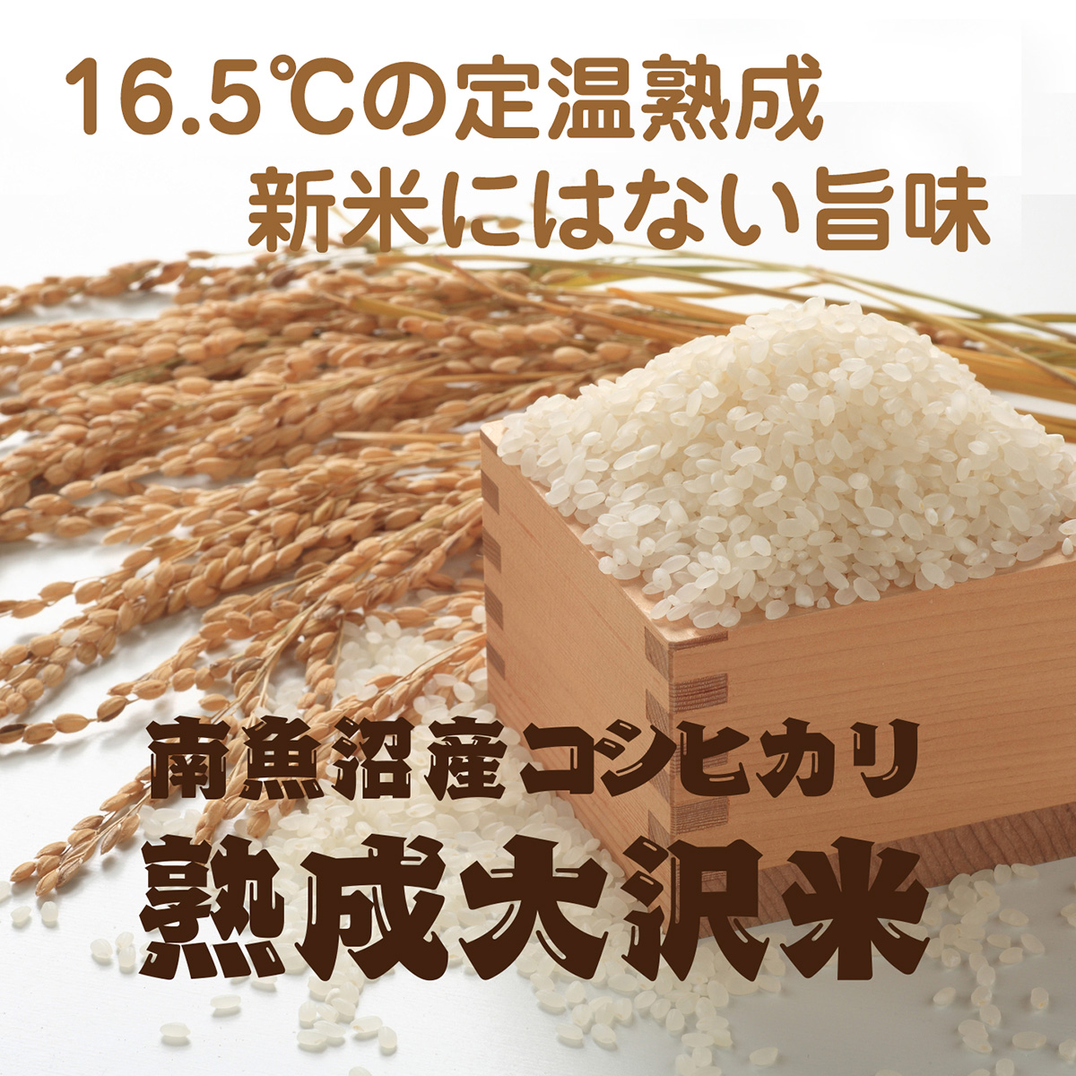 熟成大沢米